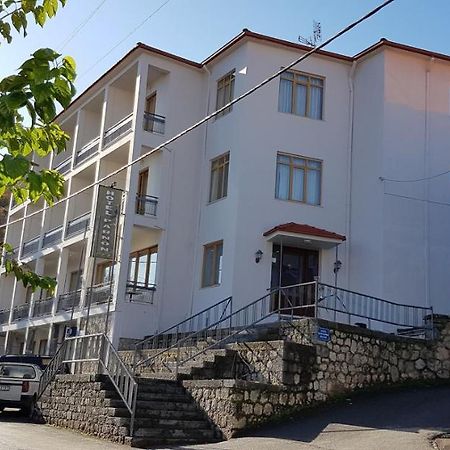 Parnon Hotel Agios Petros (Arcadia) Exterior foto